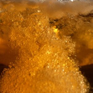 Beer Fizz