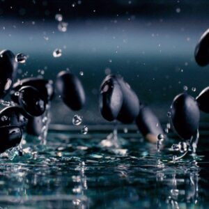 Black Beans Falling On Water