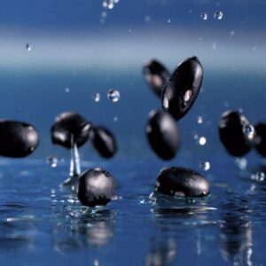 Black Beans Bouncing On Water