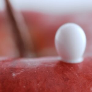 Apple Enveloped By White Cream V5