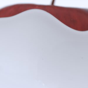 Apple Enveloped By White Cream V7