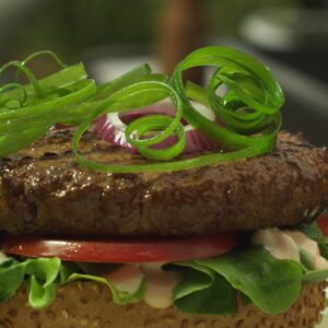 Green Onion Falling On Burger V2