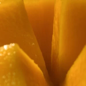 Mango Pop Close Up
