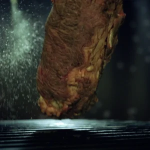 Meat Fillet Bouncing v1