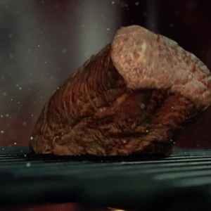 Meat Fillet Bouncing v4