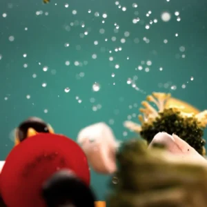 Vegetables Tossing v2